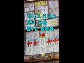 시카고 (붕붕붕~) 연타 보너스 모음 (총7번) CHICAGO 강원랜드 인기슬롯머신 #casino #slot #slotmachine #카지노