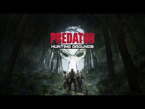 Wideo: Jak Rozpocząć Grę „Winged Predators”