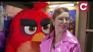 Angry birds в кино 2: Евгений Кошевой и Соня Плакидюк на озвучке мультфильма #сегоднясозвездой Angry birds в кино 2: Евгений Кошевой и Соня Плакидюк на озвучке мультфильма #сегоднясозвездой