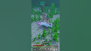 Rescuing an Axolotl - Minecraft 1.17 But Raytracing - #Shorts #MinecraftShorts #Minecraft
