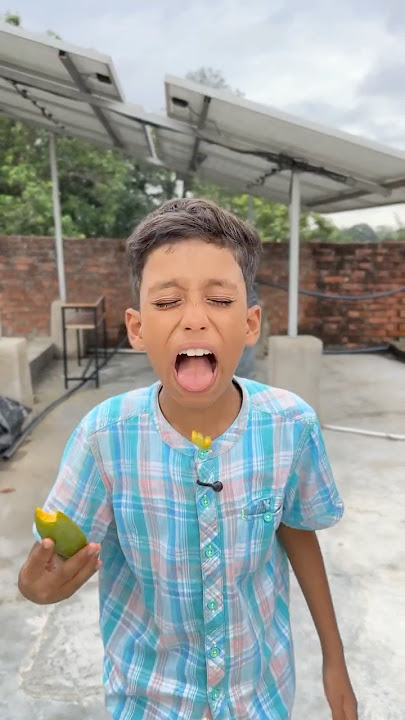 Mango Chiku ko delicious laga 😱😍 #shorts #ytshorts #viralvideos #mango
