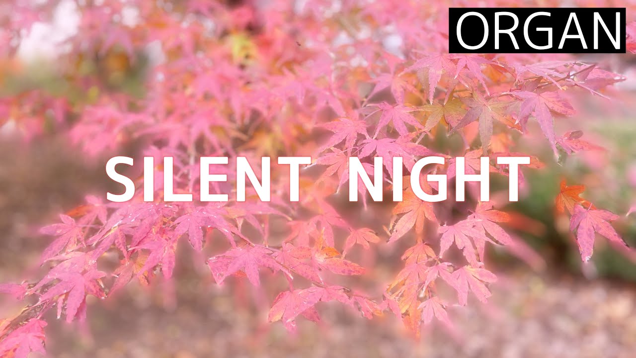 Silent night christmas song origination