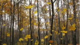 Autumn wind is moaning. Russian romance. B.Shtokolov