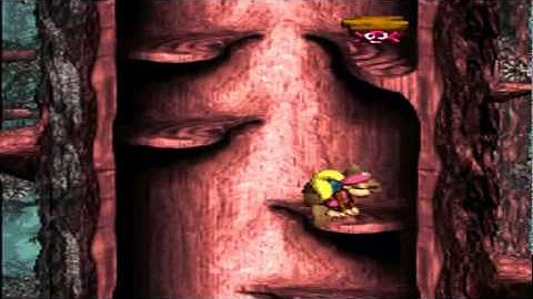 Donkey Kong Country 3 105% | Part 10 (Springin