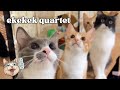 Ekekek Quartet Puts On Quite The Show Ekekekkekkek