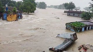 ২০ বছরেও এমন বন্যা দেখেনি সিলেটবাসী || Flood in Bangladesh 2022