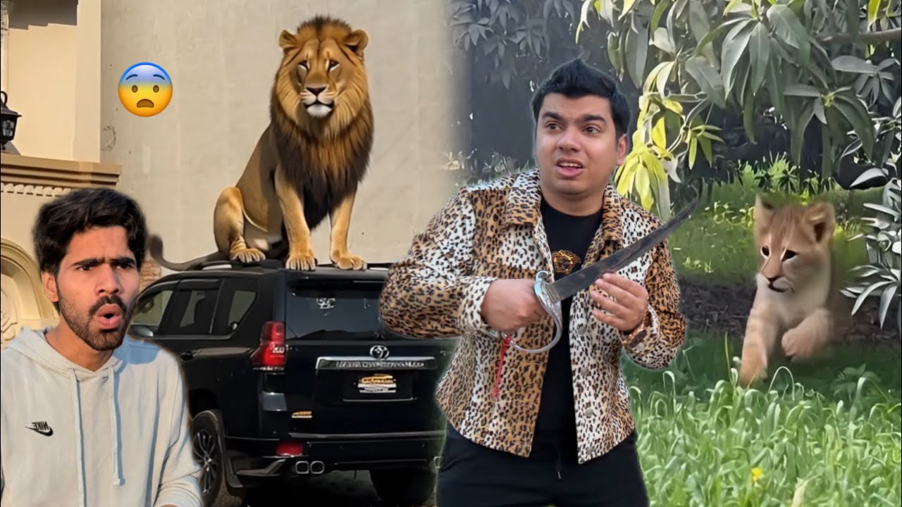Big Lion Ny Waleed Pr Attack Kr Dea 😨 Lion Ke Bache Pkar Liye 