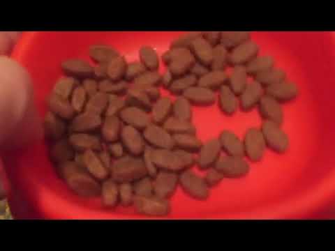 Optimeal Cat Adult Cod Fish - корм для взрослых кошек с треской