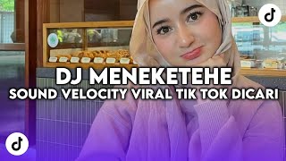 DJ TIAP HARI BERTEMU KAMU DIAM DIAM GITU | DJ MENEKETEHE STYLE SOUND VELOCITY TIK TOK YANG DICARI