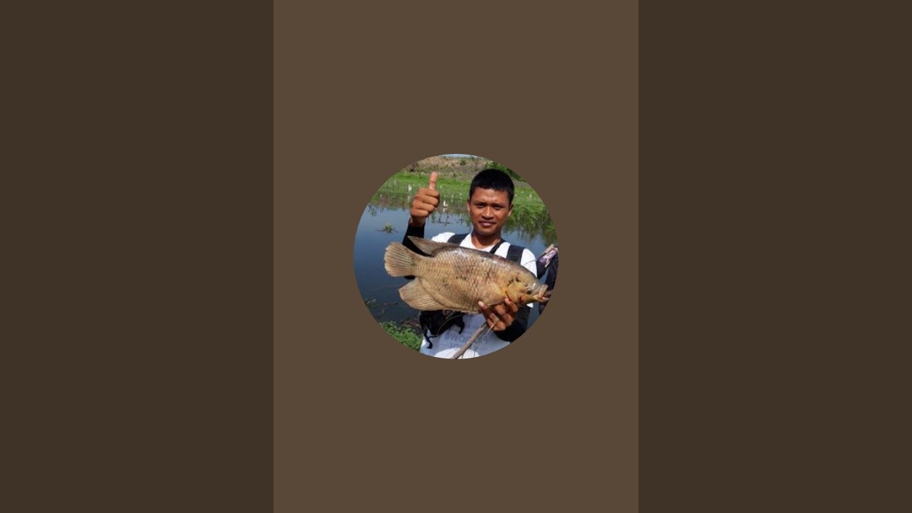 MANCING CENUL CENUL - YouTube