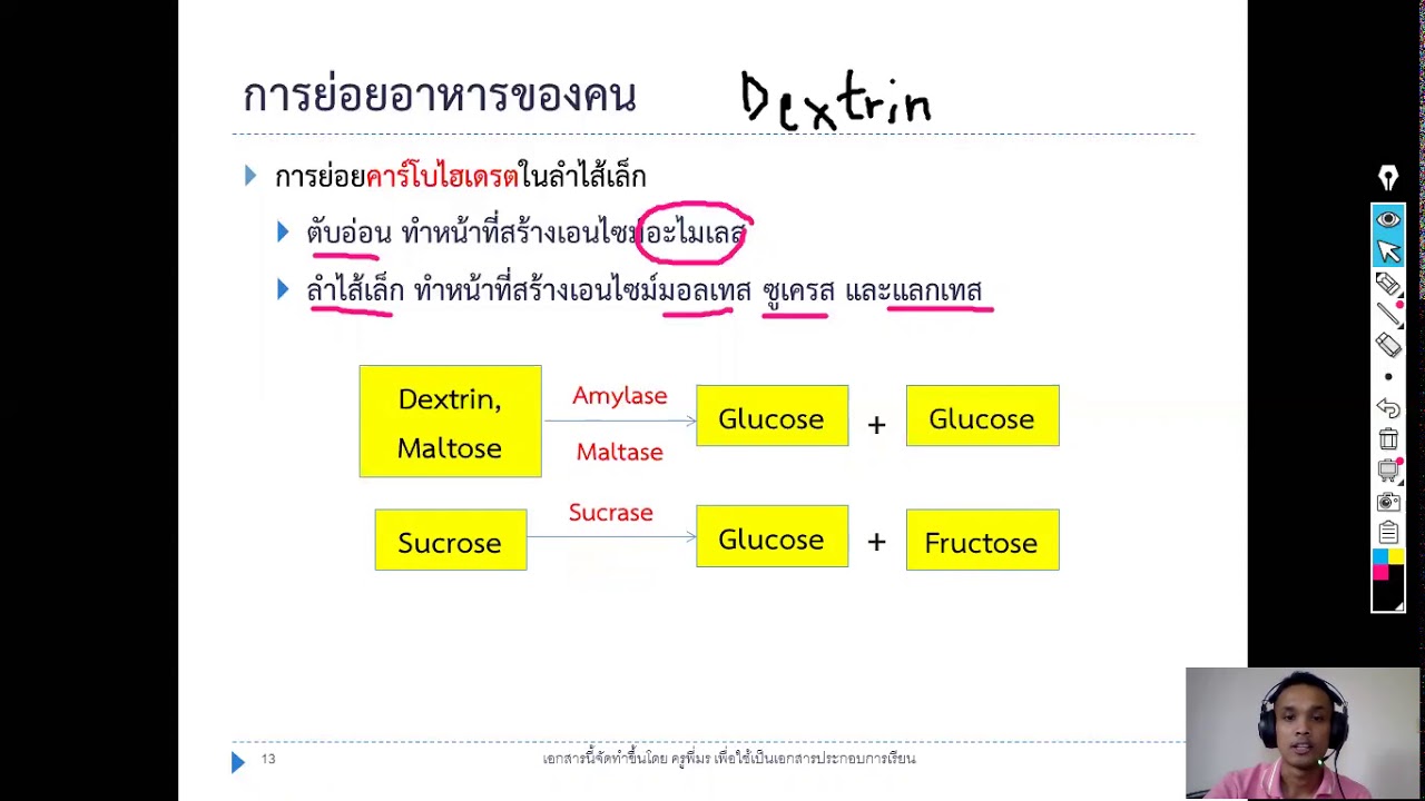 EP8: สรุปการย่อยคาร์โบไฮเดรตและไขมัน | ข้อมูลที่อัปเดตใหม่ที่เกี่ยวข้องกับสาร อาหาร ที่ ย่อย ณ บริเวณ ต่างๆ มี อะไร บ้าง