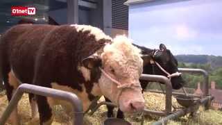 Salon de l’agriculture : vaches connectées et salades high-tech