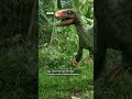 The link between dinosaurs and birds - BBC World Service #shorts