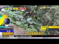 危險！ 抹茶山封路照闖 半個月連2起迷航救援@newsebc