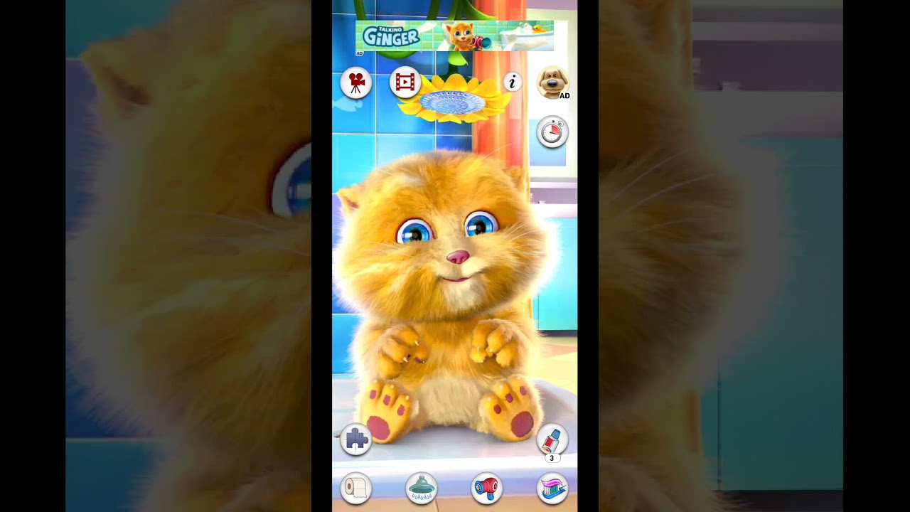 my Talking tim cat 🎯😘🥵🥵😘