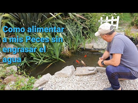 Video: ¿Qué es un estanque de perc?