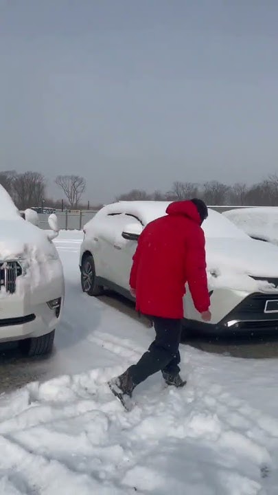 Иконка авто. Загрузи мою машину. Машин в моя летняя машина. Fix my car zombie survival. Номер телефона для авто табличка.