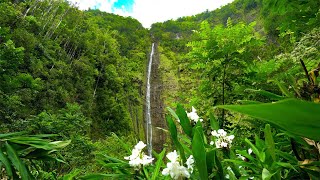 8 Hours - Hawaii Waterfall with Relaxing Nature Sounds - 4K HD | Great Escapes