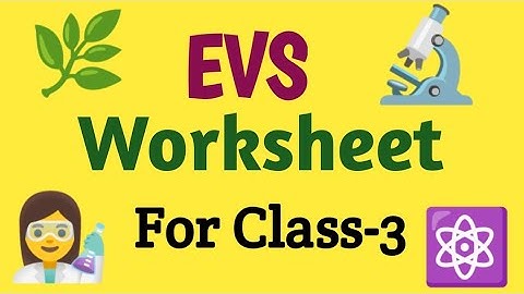 EVS/SCIENCE Worksheet For Class-3 | Class-3 EVS Worksheet | #evsworksheet #class3 #evs #science