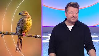 Bruno Guillon À Genoux Pour Une Blague, Cest Du Jamais Vu Mai 2024