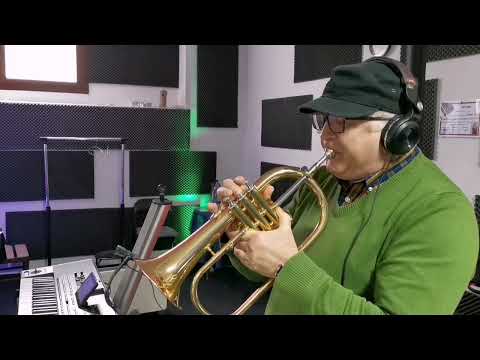 Adrian Enache flugelhorn-Desafinado