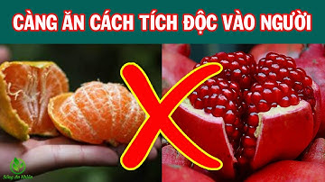 7 Loại Hoa Quả Trung Quốc Càng Ăn Càng Tổn Thọ Tuyệt Đối TRÁNH Ăn Nhiều Kẻo Rước Họa Vào Thân