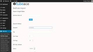Tube Ace for WordPress screenshot 2