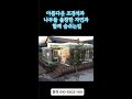 조경수와 조경석이 아름다운 전원생활하기 좋은 주택 / 토지면적이 무려 900여평/ 카페로 용도변경해 사용하는것도 추천합니다 #short
