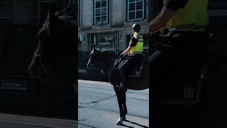 Pride Month Celebration At Oslo, Norway