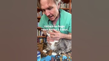 Hairball Remedy for Cats