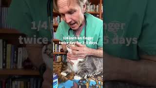 Hairball Remedy for Cats