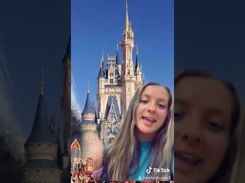 Disney World: Tech and Try for Digital Media
