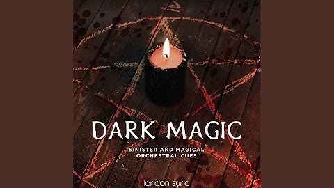 A Magical Adventure Begins