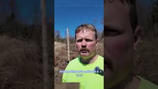 The Training Insight We Didnt Expect