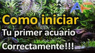 10 CONSEJOS para iniciar TU PRIMER ACUARIO con el pié derecho | Acuarismo Fácil