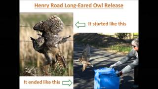 Napa Wildlife Rescue