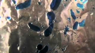 Oil Experiment 002 - Melting Sun, Liquid Moon. July 24th 2012.