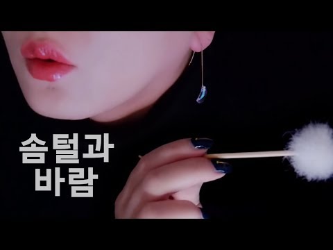 ASMR Ear Blowing & Brushing (no talking)