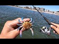How To Rig & Fish Artificial Crabs + NON-STOP Action On BIG Fish w/Cut Blue Crabs