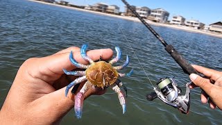 How To Rig & Fish Artificial Crabs + NON-STOP Action On BIG Fish w/Cut Blue Crabs