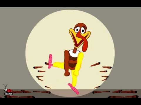 dance-turkey--funny-animated-e-cards