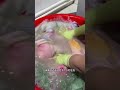 Don t throw away old sheets This little laundry trick makes the sheets get newer and newer