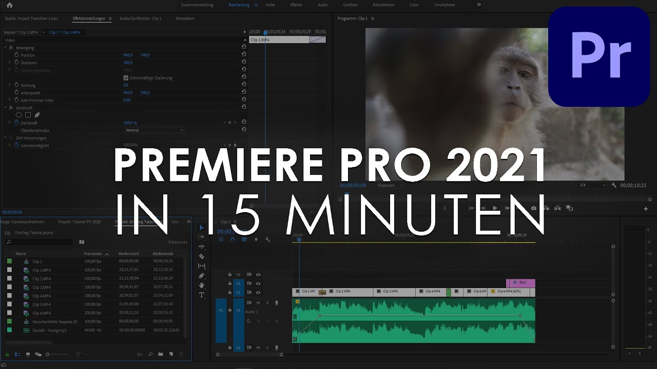 Update New Adobe PREMIERE PRO 2021 Einstieg in nur 15 MINUTEN - Tutorial Deutsch