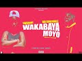 MR ENNERDALE TWILIGHT WAKABAYA MOYO LYRIC VIDEO 
