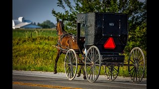 Amish and Mennonite Store Shopping Trip In Michigan