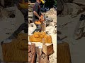 chainsaw creations Edinburgh show ground 23rd June 2024