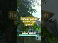 RAHASIA RUMAH JADI ESTETIS DAN NYAMAN DENGAN CEPAT #rumahidaman #secondskin #rumahminimalis