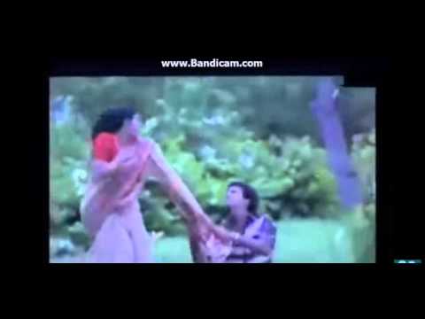 მიალუს ვიდეო-ჰრგნ