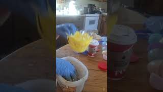 Creating Birdseed Nests and Eggs