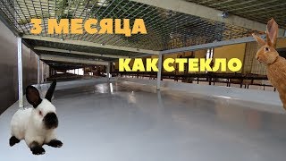 Результат эксплуатации полиуретанового покрытия поддонов для кроликов Результат эксплуатации полиуретанового покрытия поддонов для кроликов